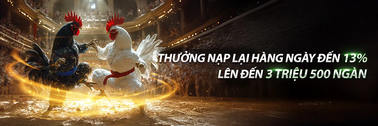 Sân vận động tràn đầy năng lượng với các trận đấu thể thao sôi động tại 123bet login